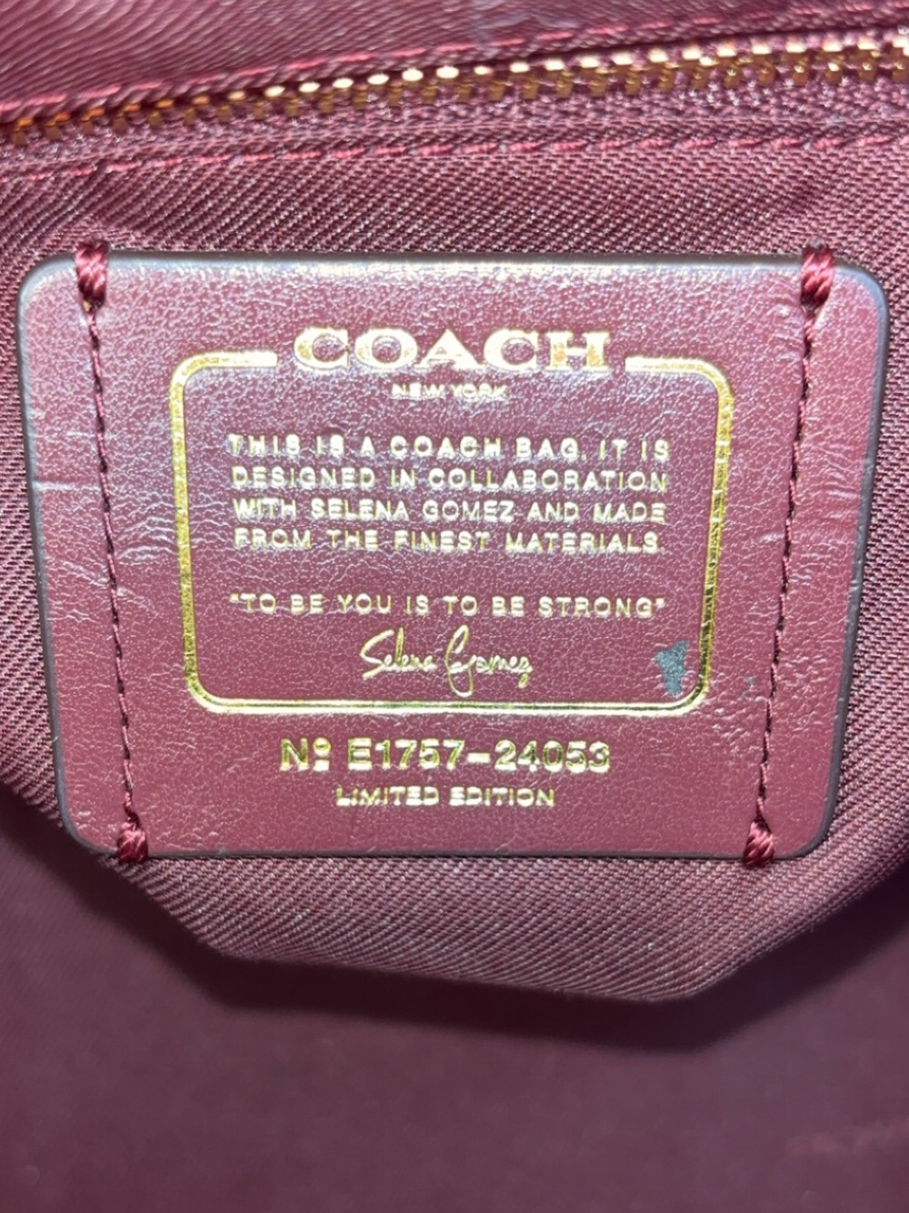 Coach x Selena Gomez 2017 “Selena Grace”Satchel - Picture 12 of 15